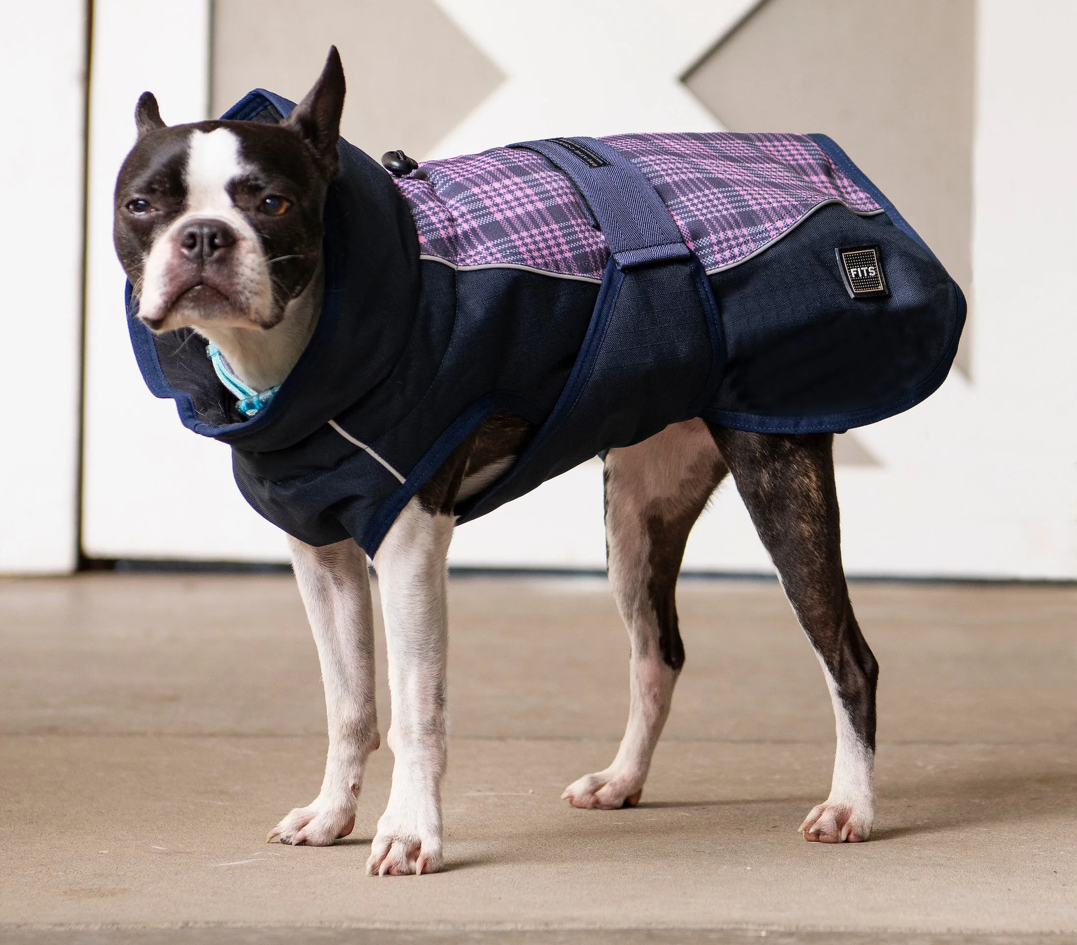 All Weather Dog Coat