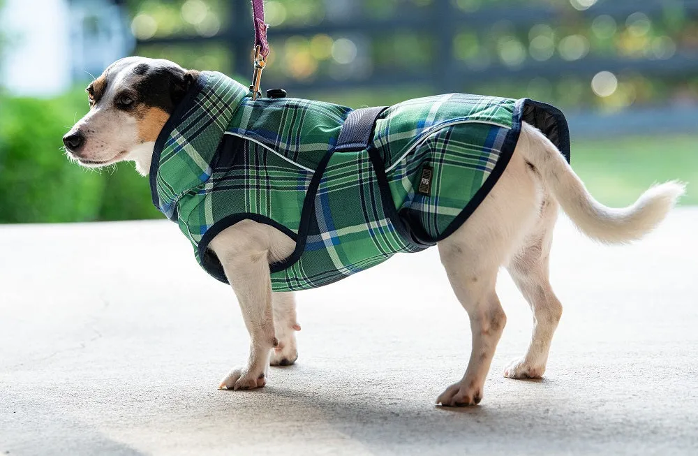 All Weather Dog Coat