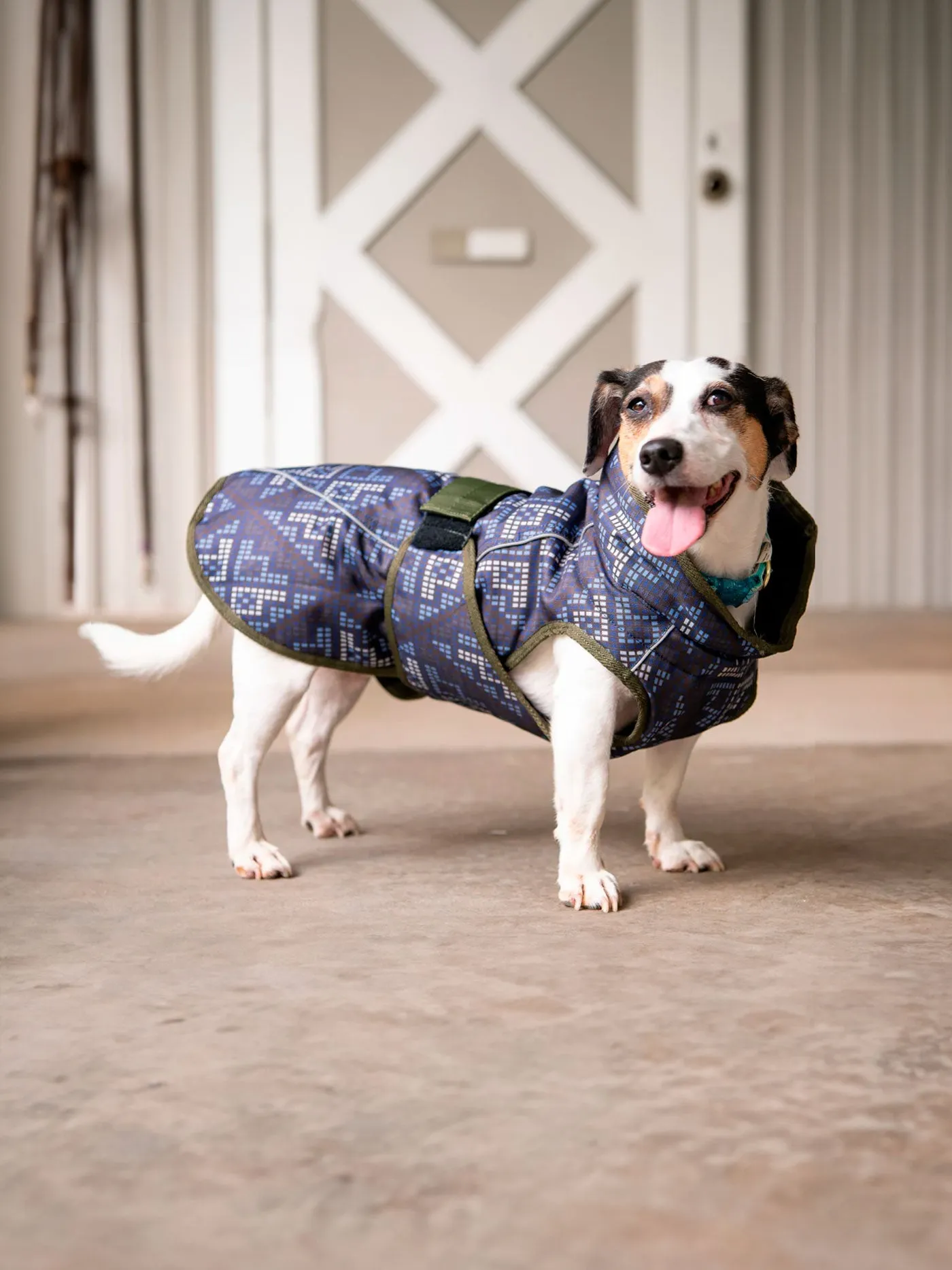 All Weather Dog Coat