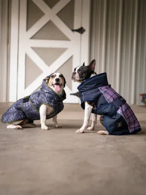 All Weather Dog Coat