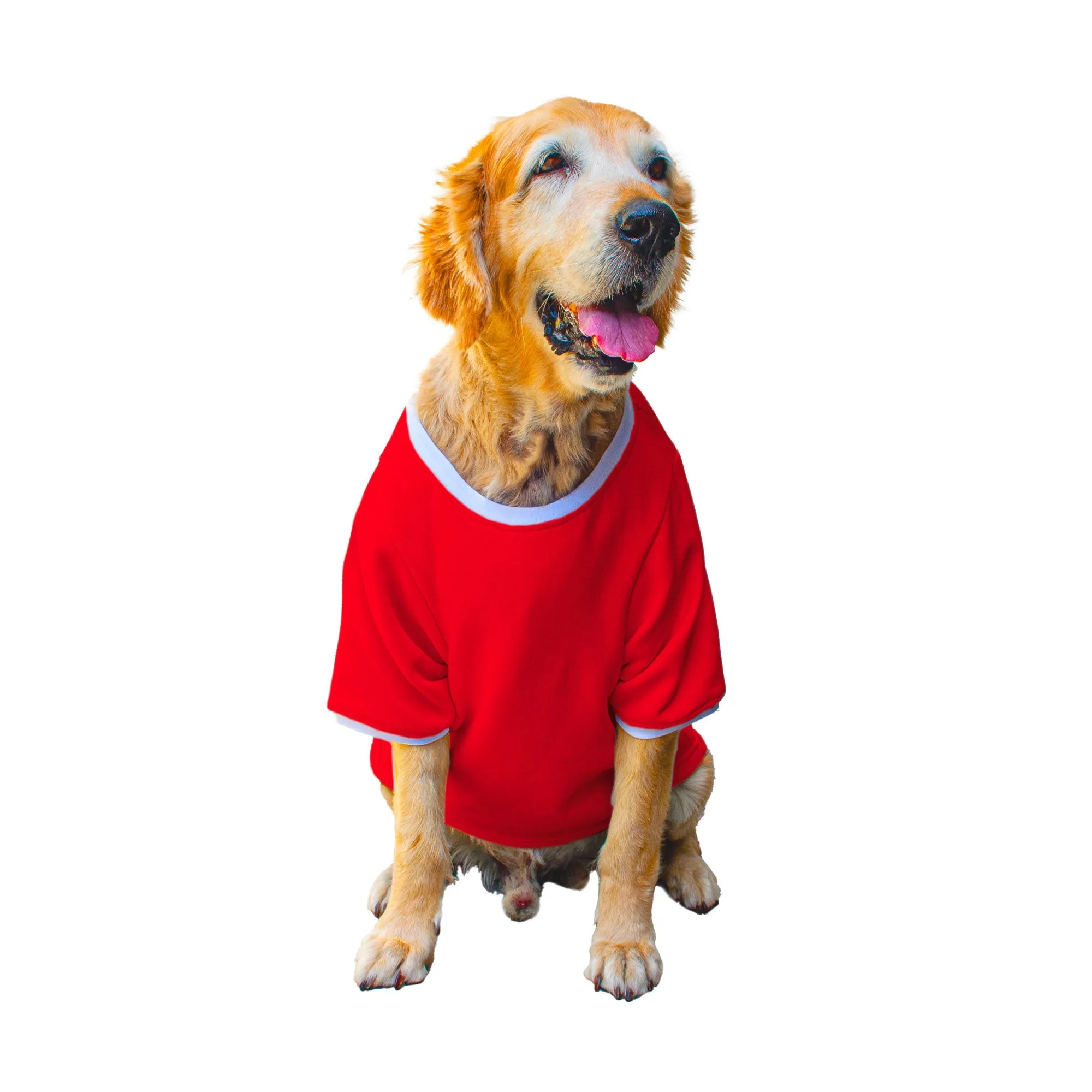 Ruse 'Basics' "Bosspup" Printed Crew Neck Full Sleeve Expedition Sweatshirt For Dogs