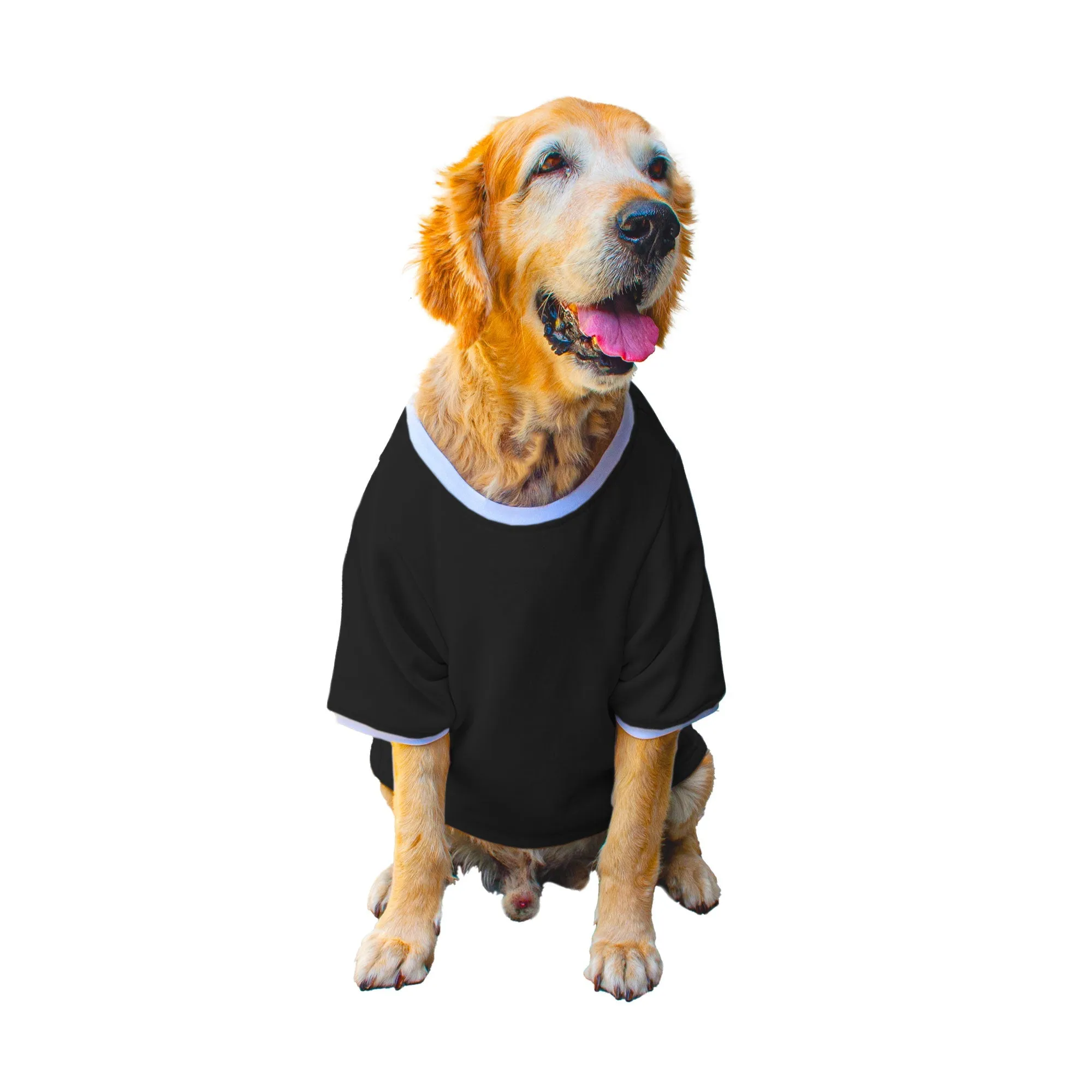 Ruse 'Basics' "Bosspup" Printed Crew Neck Full Sleeve Expedition Sweatshirt For Dogs